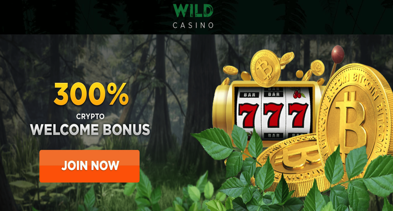 Wild casino